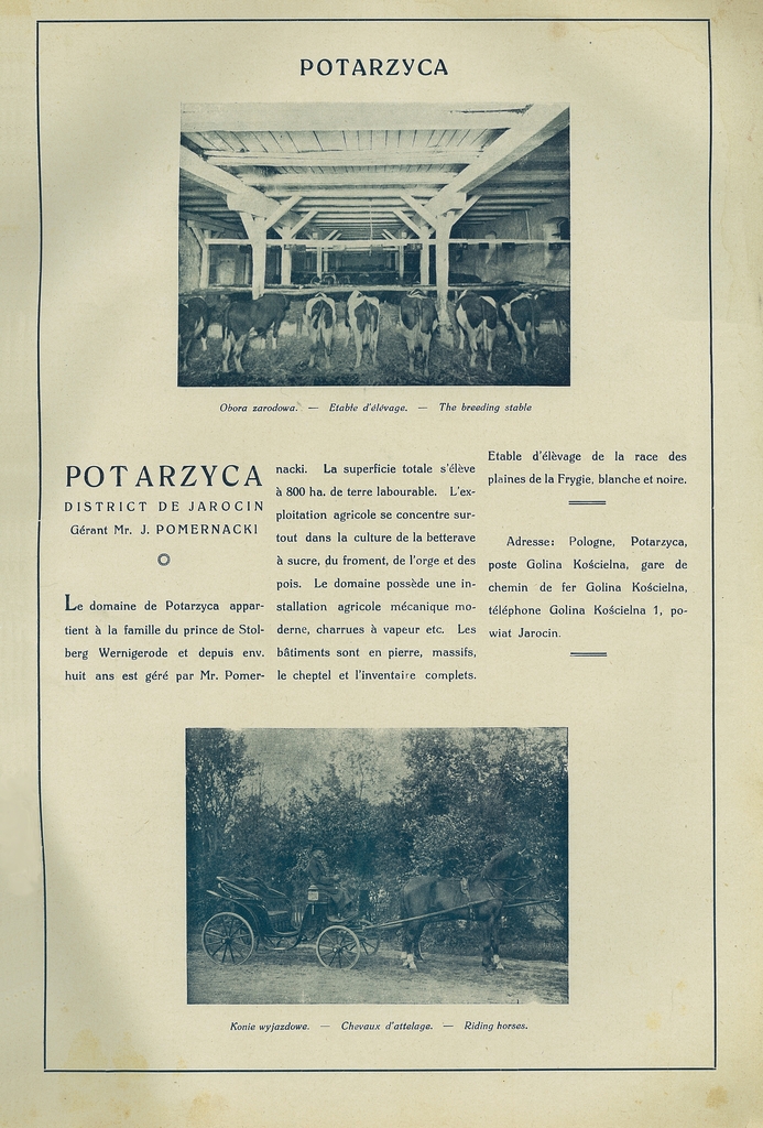 154 potarzyca.jpg